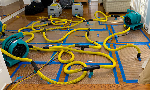 Professional Emergency Water Removal technician working in Moulton, AL