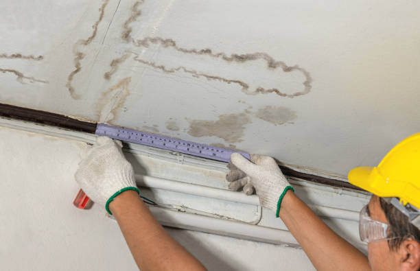 Affordable Water Damage Repair solutions in Moulton, AL